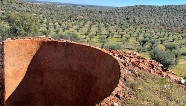 Sousel Guided Tour - Foto 5