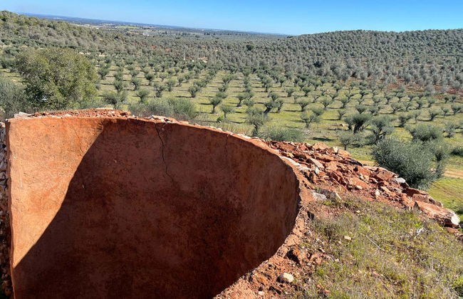 Sousel Guided Tour - Foto 5