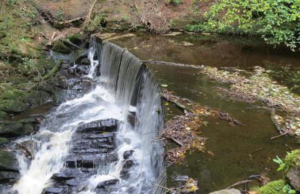 Albert Cottage - Foto 9