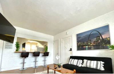 (55.1S) Experience a True STL Visit! - Foto 6