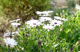 Salt & wave - Foto 23