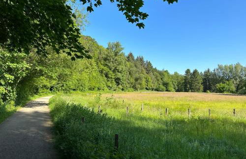 Apartment nahe Naturschutzgebiet „Wurmtal“ - Foto 48