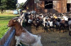 Appartement 105 - Foto 19