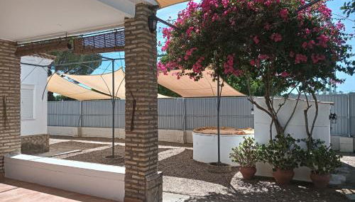 Casa Rural El Algarrobo - Foto 5, Garden view