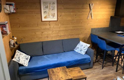 T1 La marmotte Saint Sorlin d'Arves - Photo 31