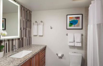 Marriott's Shadow Ridge II The Enclaves 2BR Apartment with Resort Access - Foto 26