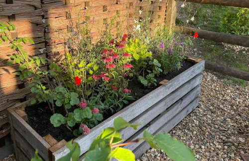 The Walnut Wagon in the heart of Mells. - Foto 20