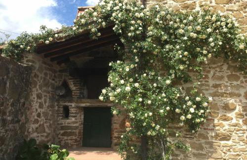 San Lorenzo - Foto 10