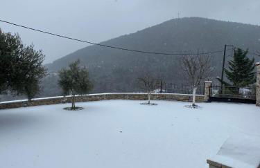 Αρχοντικό Γκιντώνη - Foto 39