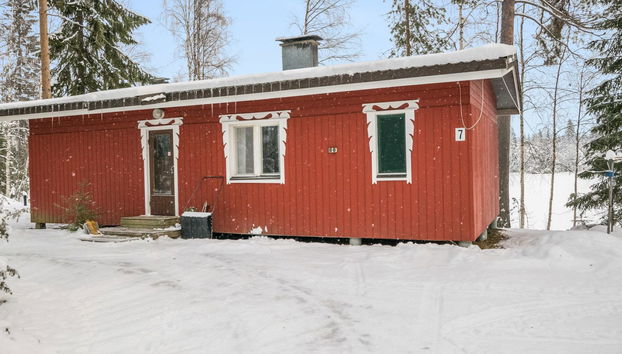 Taimisto - Foto 4, Inside other