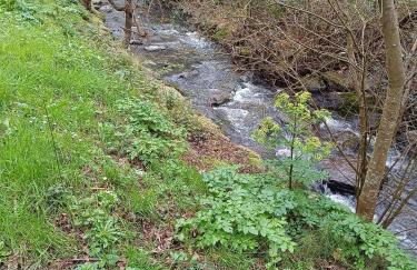 Bermeo y Urdaibai - PARKING-Ascensor - WIFi - tranquilo - Foto 26