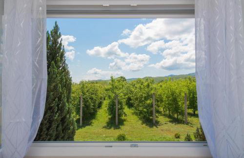 VILLA DOLA near Split - private pool, orchard, peace - Foto 16