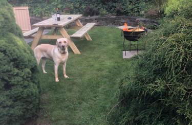 8F Lakeside Lodge Caer Beris Builth Wells - No Tradesman - Foto 23