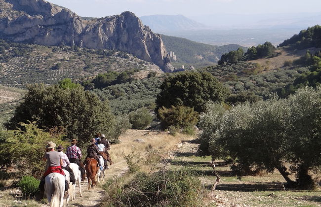 Apartamentos La Suerte - Foto 70