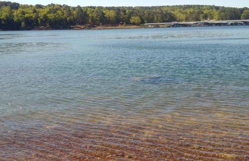 Greers Ferry Lake Cabin - Foto 27