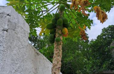 Recanto Ganesha seu paraíso na praia, no Recanto de Itaipuaçu ao lado de Itacoatiara - Foto 56