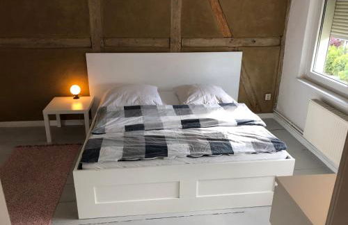 UkuleleHaus Lunow am Nationalpark Unteres Odertal - Foto 13