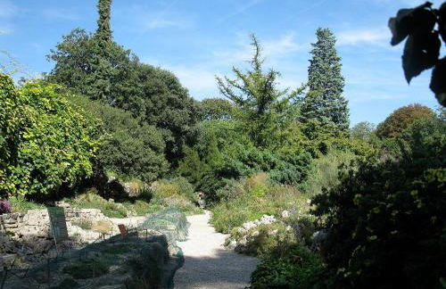 Le 300 by HappyNoWorry - Foto 43