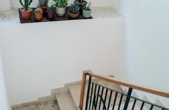 Albereto 41 - Foto 19