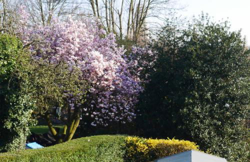 Apartment Fewo Central - Foto 14