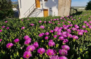 Casita of Casa Olivar - Foto 1