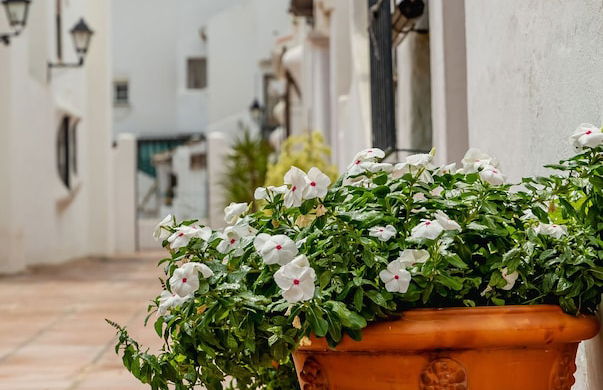 Las Gaviotas B9 - Foto 36