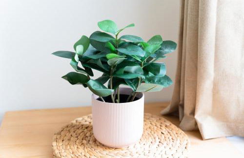 Le Nid Cozy - Face Gare De Corbeil - Foto 21