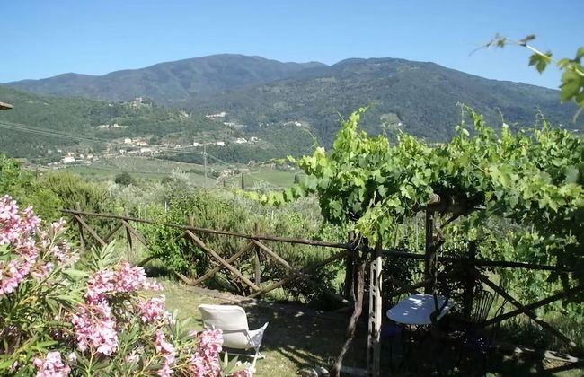 Agriturismo Poggio di Montepescoli - Il Forno - Foto 14