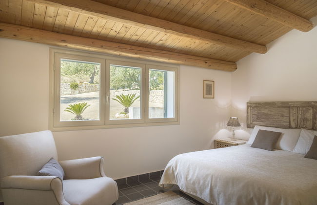 Tenuta Olive Alive - Foto 5