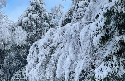 The Blue House On The Hill Catskills—Views - Photo 20