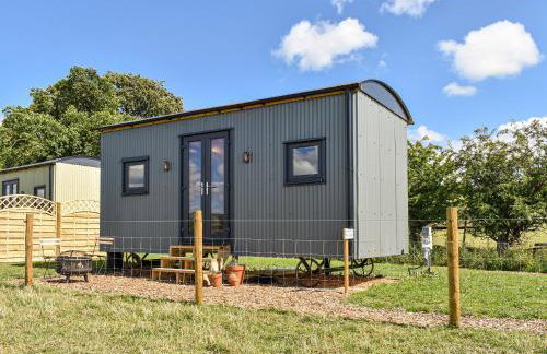 Forget-Me-Not - Uk37646 - Foto 1