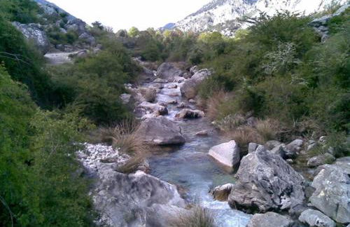 CASA DEL VIDRIO - Foto 25