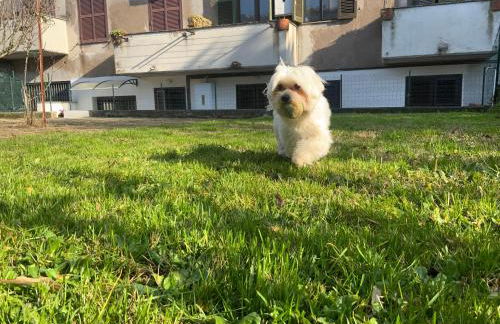 EDEN. La casa di Claudia - Foto 45