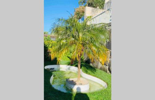 VILLA ON TOP MONTE SÃO FELIX - Foto 41