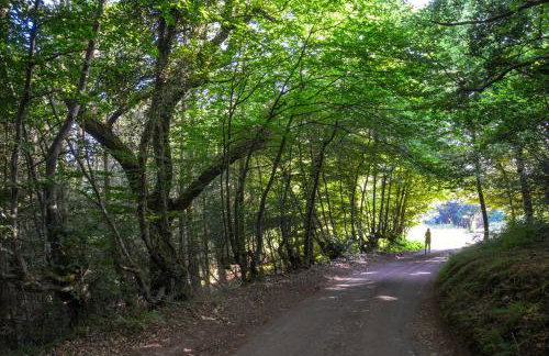 Slowley Farm - Photo 148