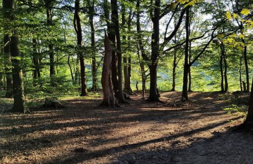 Ferienwohnung im Hoetger-Hof - Foto 3