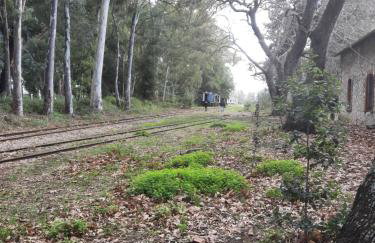 O Xenonas Ton Mylon - Photo 61