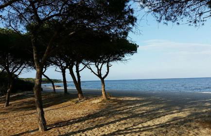 Casa Zeralda, privater Pool - Photo 8