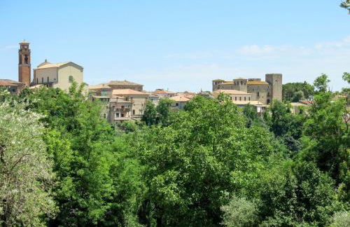 Holiday Home Borgo Agrituristico Il Pino-3 by Interhome - Foto 23