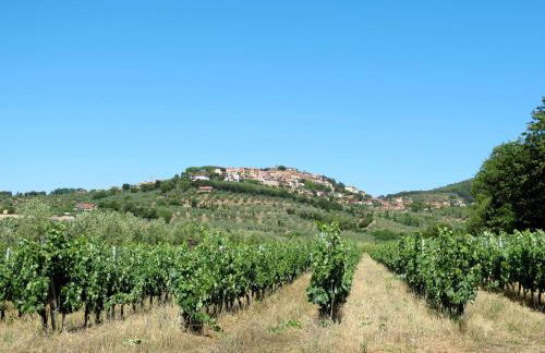 Apartment Casa delle Volte by Interhome - Foto 33