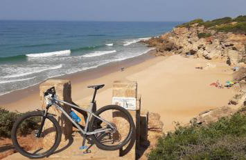 Casa Palmera - Foto 19