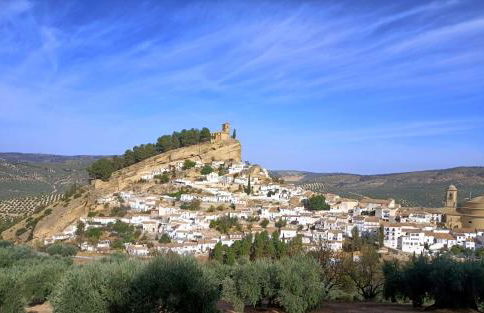 Molino Mairena - Foto 28