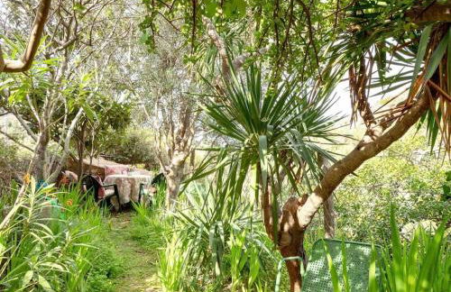 Ca'n Nicolau - Foto 5