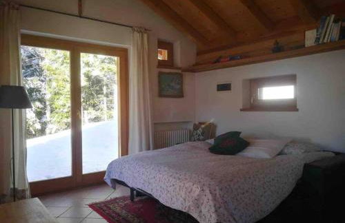 LA VOCE DEL BOSCO Selva di Cadore - Foto 31