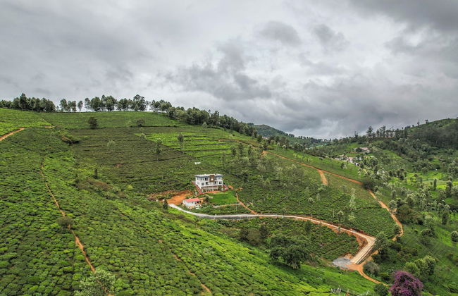 Heavenly Hills - Foto 21