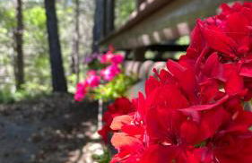 Woods Etna Chalet - Foto 3