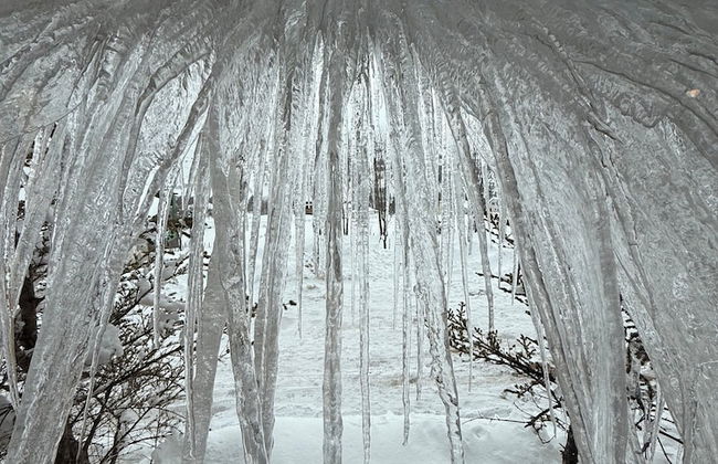 Ny Çambaşı - Foto 3