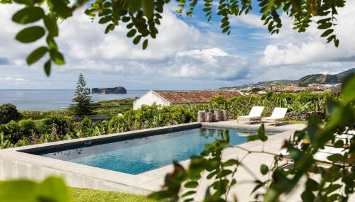 Guava Azores - Photo 2