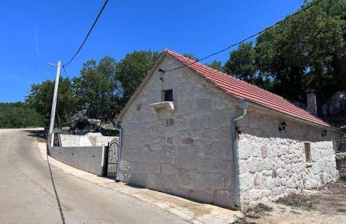 Aga - Foto 5