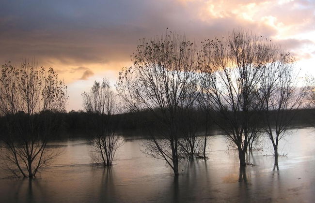 Agriturismo La Rovere - Foto 43